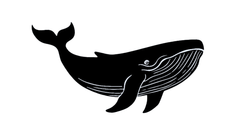 Whale